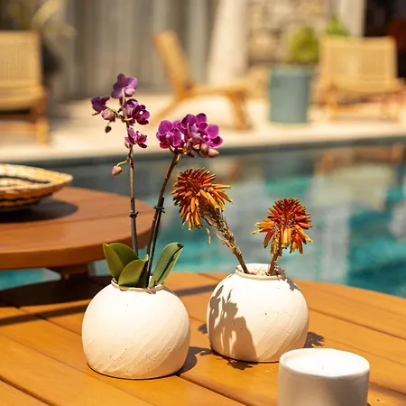 Hotel Palm Boutique 3*