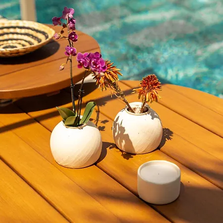 Hotel Palm Boutique 3*