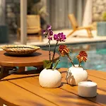 Palm Boutique 阿拉恰特