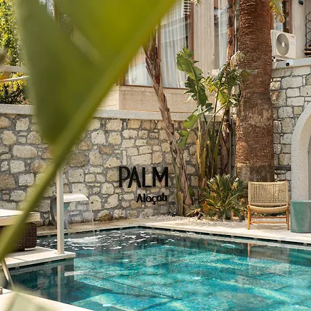 ホテル Palm Boutique 3*