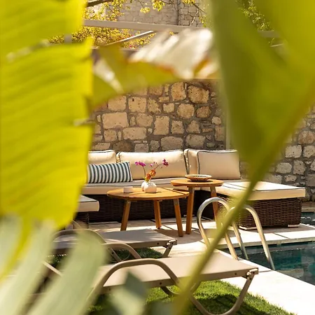 Palm Boutique فندق