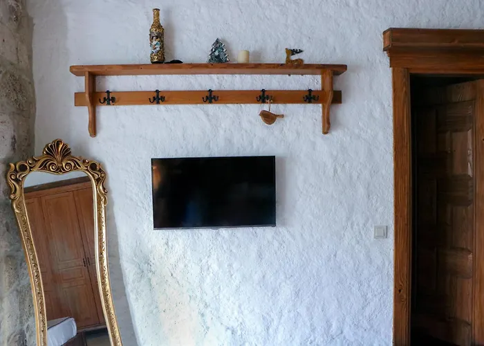 Hotel Cocopalm Boutique 3*