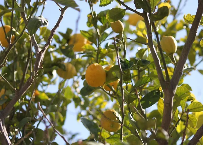 Hotel Cocopalm Boutique Alacati